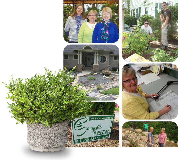 Landscaping Services Photo Grid