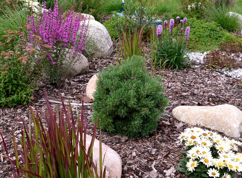 Mulch Stone and Soil