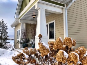 Leaving Hydrangeas and grasses to collect snow offers variety and movement to an otherwise still winter landscape.