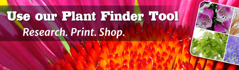 Plant FInder Tool Research. Print. Shop.