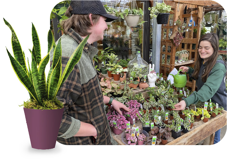 Our Repotting Services