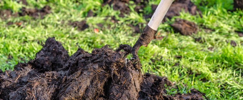 Amending Soil with compost