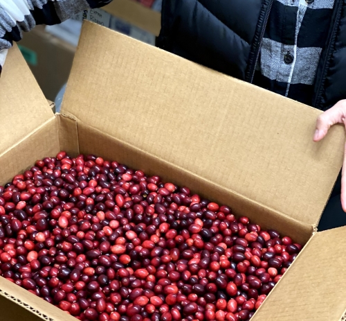 Packaging Cranberries