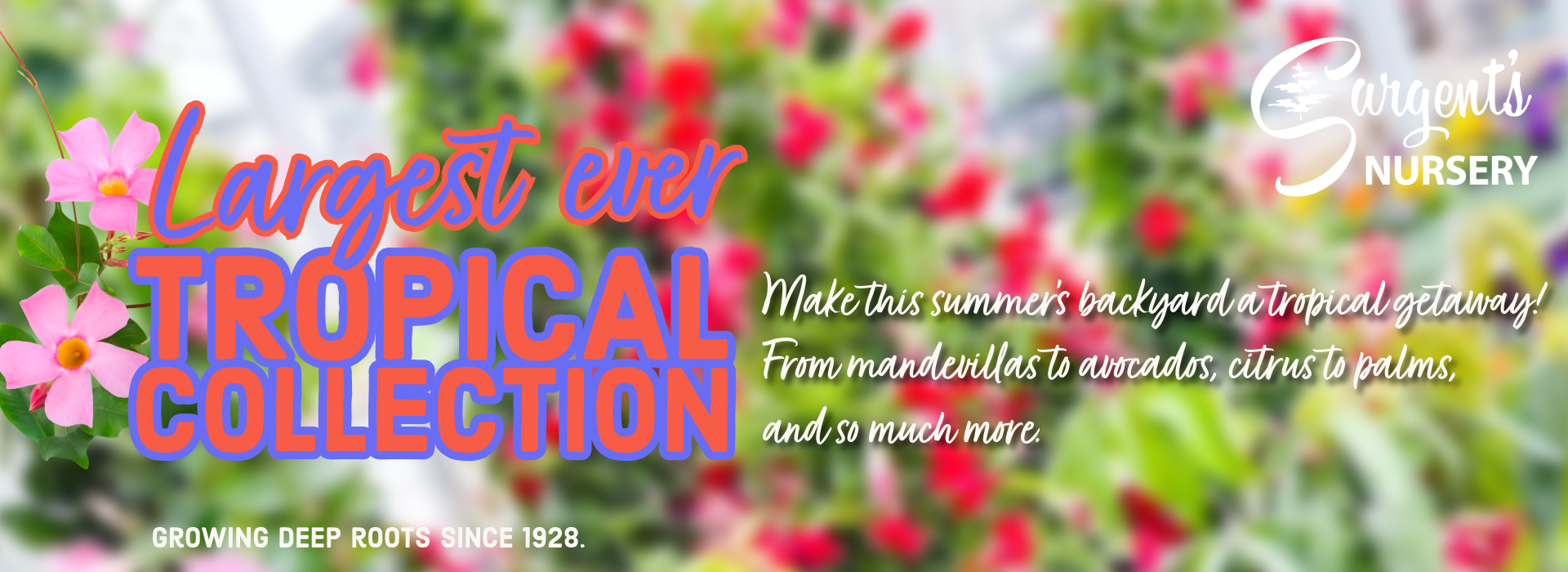 largest ever tropical collection