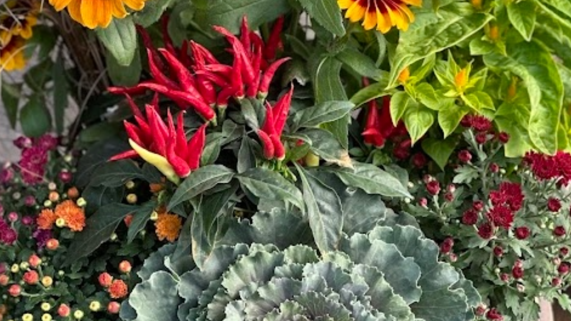 Fall Porch Planter Workshop