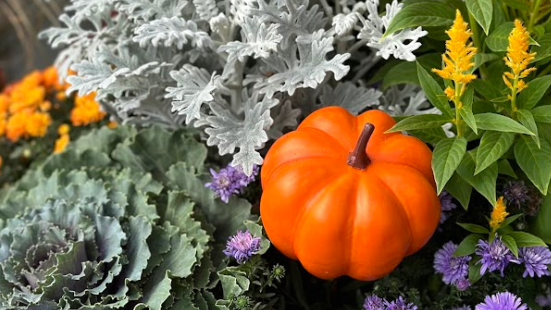 Fall Porch Planter Workshop